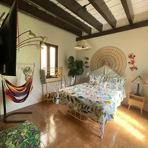 Apartment The Garden Apartment, The Willow Apartment, & The Tropical At Casa Of Essence In Old, San Juan